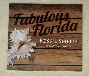 Photofossilshells