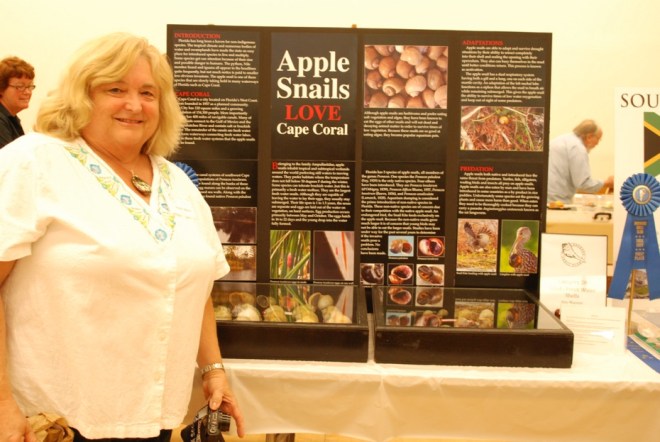 BSC Shell Show 2013 (545)