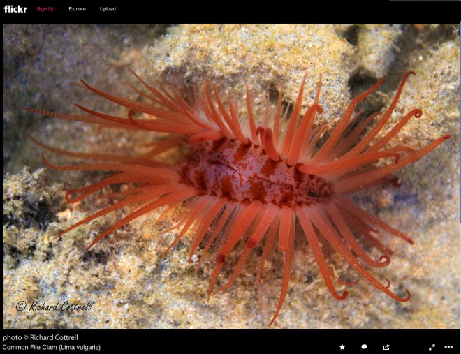 Screen shot 2013-07-14 at 2.28.28 PM