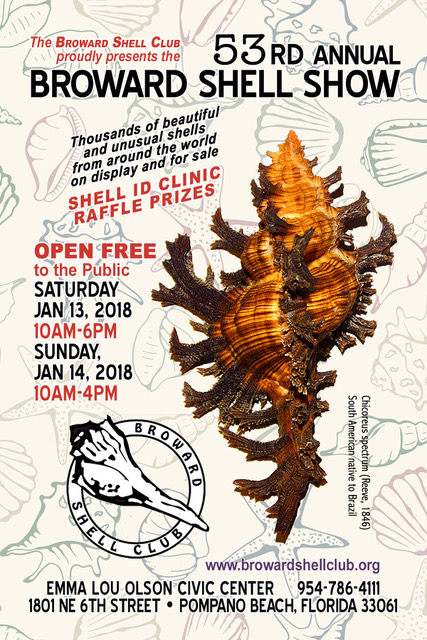 2018-shell-show-flyer-front