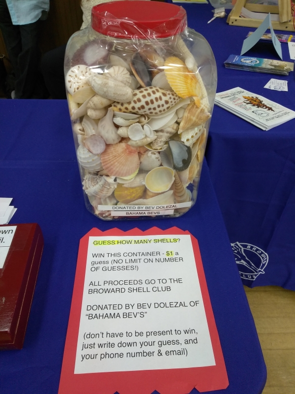 Guess How Many Shells