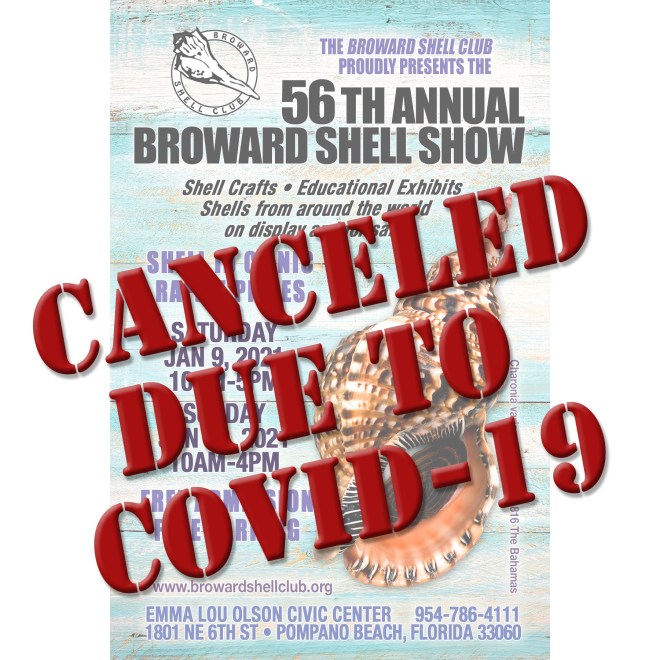 2021 Broward Shell Show Flyer front - Cancelled due to covid