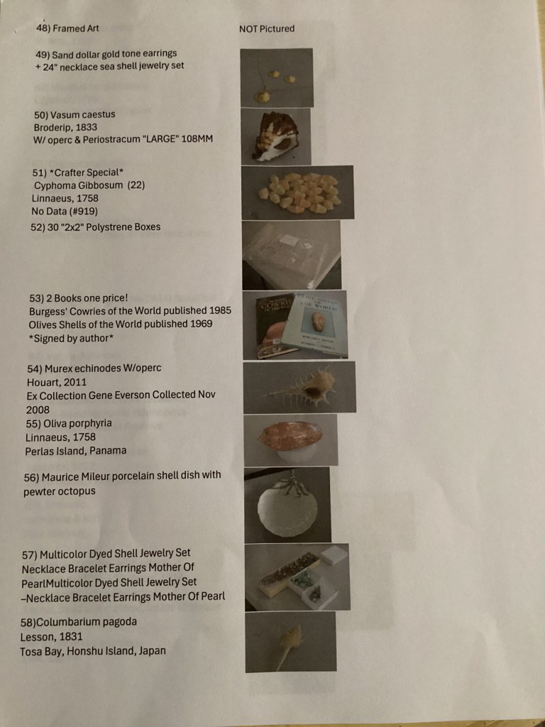 2026 S6hell Club Auction page