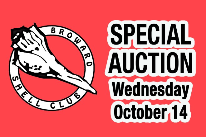 October Mini Auction